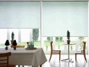gallery/anippal4